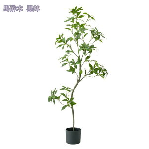 1000~OFFN[| n lHϗtA 傫 AJV tFCNO[ CeA b炸  sv ͂Ȃ lH tFCNA  ϗtA tFCNc[