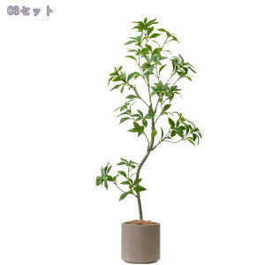 1000~OFFN[| n lHϗtA 傫 AJV tFCNO[ CeA b炸  sv ͂Ȃ lH tFCNA  ϗtA tFCNc[