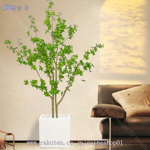 2000~OFFN[| lH ϗtA tFCNO[ ډB lHϗtA A lHϗtA tFCNO[ lHϗtA tFCNO[ ^  CeA  O tFC