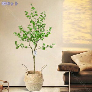 2000~OFFN[| tFCNO[ 傫 lHϗtA ^ ϗt CeA  ƒ 悯oRj[ Iȑ ȒP Vzj ̓ ̓ Ղ ~͐A Mtg 蕨 