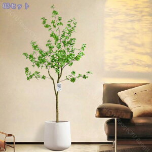 1000~OFFN[| tFCNO[ ^ lHϗtA ډB A lHϗtA ϗtA tFCN ӂ[ ϗt tFCNO[ CeA  ItBX CeA