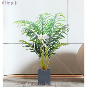 lHV̖ tFCNO[ lHϗtA ΂̐A ϗt tFCN ^   ^ ȒP sv Q쏜sv  ƒ 悯oRj[  Iȑ z Mtg