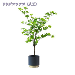 1000~OFFN[| lHϗtA 傫 tFCNO[ ^ CeA rO ItBX  Vbv rO   lHϗtA /Ogp JXj Vzj z