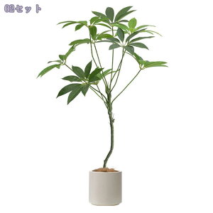 1000~OFFN[| lHϗtA 傫 tFCNO[ ^ CeA rO ItBX  Vbv rO   lHϗtA /Ogp JXj Vzj z