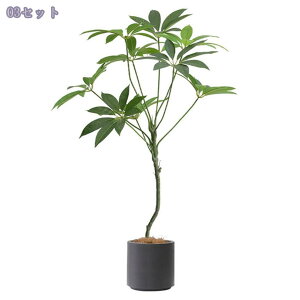 1000~OFFN[| lHϗtA tFCNO[ ډB ^ lHϗtA rO  p A CeA lHϗtA JXj j lHϗtA st gsJ vX