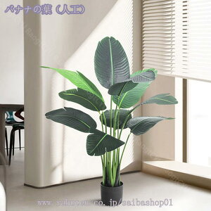 2000~OFFN[| lHϗtA ډB tFCNO[ ^ lHA CeA lHϗtA tFCNt rO tFCNO[ lHϗtA tFCNO[ j v[g 