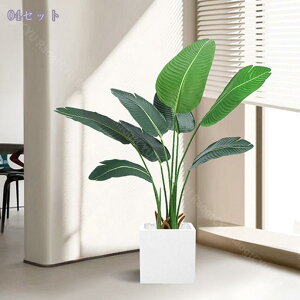 tFCNO[ lHϗtA ϗtA tFCN ^ A ӂ[ ϗt tFCNO[ CeA lHϗtA ϗtA tFCN ډB lHA  ItBX C