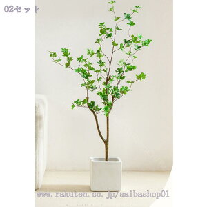 2000~OFFN[| lHϗtA tFCNO[ ډB ^ lHϗtA vX`bN 邭u₩ rO  p A CeA lHϗtA JXj j lHϗt