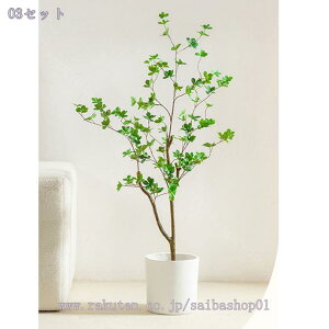 lHϗtA tFCNO[ ډB ^ lHϗtA vX`bN 邭u₩ rO  p A CeA lHϗtA JXj j lHϗtA st g