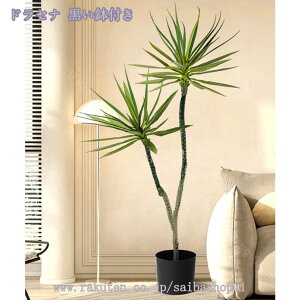 2000~OFFN[| tFCNO[ 傫 lHϗtA ^ ϗt CeA  ƒ 悯oRj[ Iȑ ȒP Vzj ̓ ̓ Ղ ~͐A Mtg 蕨 