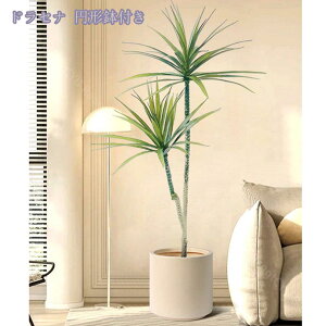 lHϗtA 傫 { ډB tFCNO[ ^ lHA CeA lHϗtA tFCNt rO lHA tFCNO[ j v[g Mtg zj