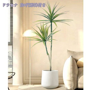 1000~OFFN[| lHϗtA 傫 { ډB tFCNO[ ^ lHA CeA lHϗtA tFCNt rO lHA tFCNO[ j v[g 