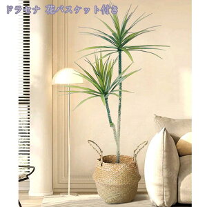 1000~OFFN[| lHϗtA 傫 { ډB tFCNO[ ^ lHA CeA lHϗtA tFCNt rO lHA tFCNO[ j v[g 