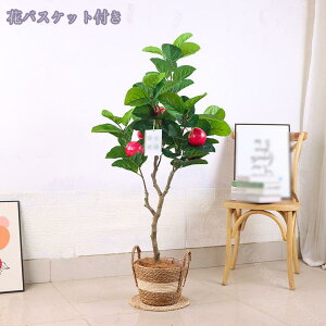 tFCNO[ ϗA lHϗt ϗtA tFCN^ lHϗtA tFCNO[ ^ ϗtA p ϗtA tFCN Vv ItBX  CeA ^ t 