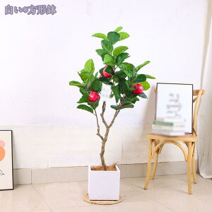 2000~OFFN[| tFCNO[ lHϗtA ϗtA tFCN ^ A ӂ[ ϗt tFCNO[ CeA lHϗtA ϗtA tFCN lHA  I