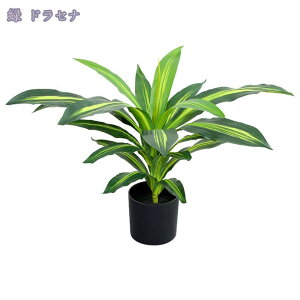 1000~OFFN[| tFCNO[ ^ A lHϗtA ϗtA tFCN ӂ[ ϗt tFCNO[ CeA lHϗtA ϗtA tFCN lHA  I