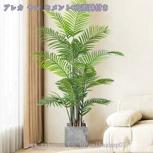 1000~OFFN[| lHϗtA tFCNO[ 傫 CeA  CeAO[ ϗtA A ItBX rO ΂̂炵 zj Vzj ȒP 