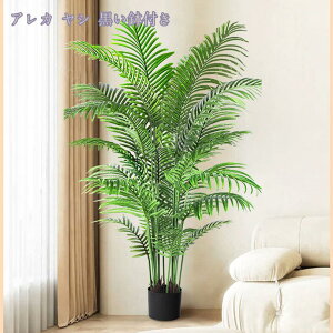 2000~OFFN[| lHϗtA tFCNO[ 傫 CeA  CeAO[ ϗtA A ItBX rO ΂̂炵 zj Vzj ȒP 