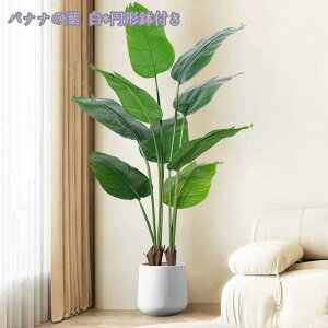 1000~OFFN[| tFCNO[ ^ 傫 ϗtA A lHϗtA tFCNO[ CeA ȒPb炸 sv ItBX z[ fR[V CeA 