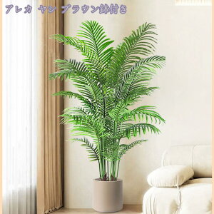 1000~OFFN[| tFCNO[ ^ 傫 ϗtA A lHϗtA tFCNO[ CeA ȒPb炸 sv ItBX z[ fR[V CeA 