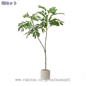 1000~OFFN[| lHϗtA tFCNO[ ^ CeAO[ K̖ rO ItBX  Vbv  lHϗtA /Ogp rO  JXj Vz