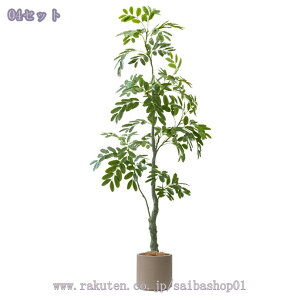 1000~OFFN[| lHϗtA tFCNO[ ^ CeAO[ K̖ rO ItBX  Vbv  lHϗtA /Ogp rO  JXj Vz