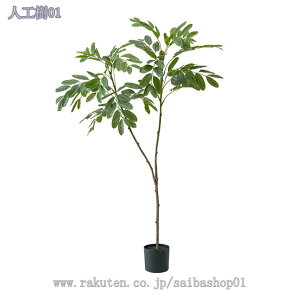 1000~OFFN[| ϗtA tFCNO[ t ϗtA ^ lHϗA lHϗt Vv A   sv CeA  rO  JXj Vzj 