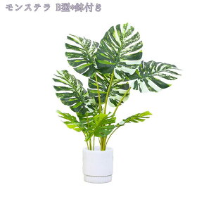 1000~OFFN[| lHϗtA ^ 傫  tFCNO[ lHϗt A CeA  ϗt ~͐A p ItBX JXj v[g ȒP 