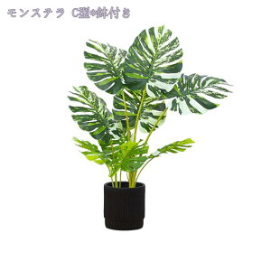 1000~OFFN[| lHϗtA ^ 傫  tFCNO[ lHϗt A CeA  ϗt ~͐A p ItBX JXj v[g ȒP 