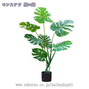 lHϗtA 傫 tFCNO[ ^ CeA rO ItBX  Vbv rO   lHϗtA /Ogp JXj Vzj zj v[g 