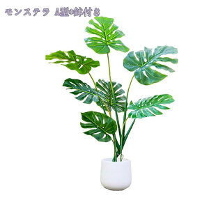 1000~OFFN[| lHϗtA 傫 tFCNO[ ^ CeA rO ItBX  Vbv rO   lHϗtA /Ogp JXj Vzj z