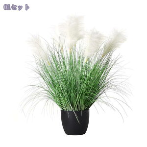 1000~OFFN[| tFCNO[ lHϗtA CeA lH lHϗtA lHA lH O[ lHA  JX ^ A tFCNc[ z[ ItBX K[f 