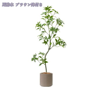 2000~OFFN[| lHϗtA tFCNO[ ډB ^ lHϗtA rO  p A CeA ϗtA JXj j st gsJA Ύ vX`bN