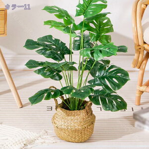 300~OFFN[| lHϗtA tFCNO[ ϗtA  ^ CeA  ze [ j JX JƏj A tFCNO[ lHϗtA ^ A Xe 