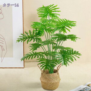 777~OFFN[| tFCNO[ lHϗtA sv ͂Ȃ QȂ ϗtA CeA ItBX  ϗtA tFCNO[ lHϗtA ͂Ȃ 