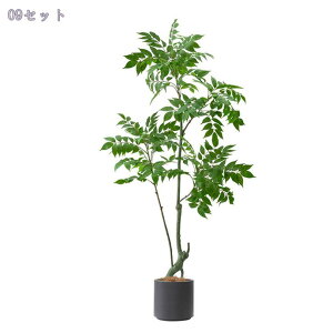 2000~OFFN[| ϗtA A tFCNO[ Ύ ^ 傫 lHϗtA tFCNO[ CeA ȒPb炸 sv ItBX z[ fR[V Vzj