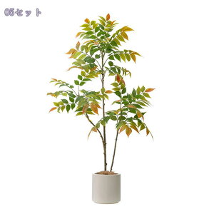 tFCNO[ lHϗtA ^ϗt CeA  ƒ 悯oRj[ rO[ Q Iȑ z̃Mtg ͂Ȃ ~͐A Ȁ ȒP lHϗtA