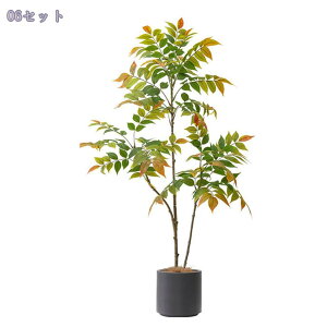 1000~OFFN[| lHϗtA 傫 {  ډB tFCNO[ ^ lHA CeA ϗtA rO c lHA tFCNO[ j v[g Mt