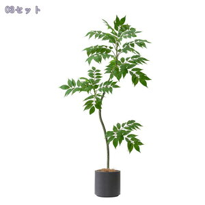 tFCNO[ 傫 lHϗtA CeA  ItBX  vX`bN lHϗtA   ϗtA A V~[VA e[ufR[V j ^