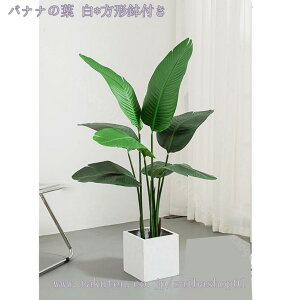 1000~OFFN[| lHϗtA 傫 ^ K[fjOtFX V~[V Op Ηt ډB Ԏd؂ p[eBV Ԏd؂ d؂ yɎd؂ z[ ItBX 