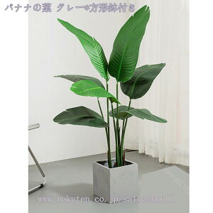 2000~OFFN[| lHϗtA 傫 ^ K[fjOtFX V~[V Op Ηt ډB Ԏd؂ p[eBV Ԏd؂ d؂ yɎd؂ z[ ItBX 