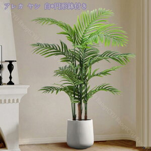 2000~OFFN[| tFCNO[ lHϗtA ^ϗt CeA  ƒ 悯oRj[ rO[ Q Iȑ z̃Mtg ͂Ȃ ~͐A Ȁ 