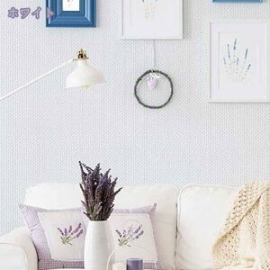 ǎ ǎV[ 5m ̂t NX n ͂ V[ǎ C   h  CNV[g n DIY SV[g k jO Ƌ Q  rO Lb` gC 