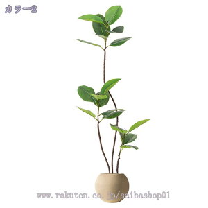 lH lHA  lHϗtA tFCNO[ ^ CeA O tFCNA sv ͂Ȃ ~͐A Vzj ̓ ̓ Mtg Ղ 蕨 A rO