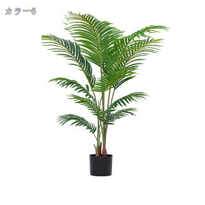 tFCNO[ lHϗtA ^ ϗt CeA  ƒ 悯oRj[ Iȑ ȒP Vzj ̓ ̓ Ղ 傫 ~͐A Mtg 蕨 z̃Mtg 