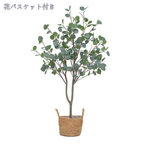 1000~OFFN[| tFCNO[ ^ 傫 ϗtA A lHϗtA tFCNO[ CeA ȒPb炸 sv ItBX z[ fR[V CeA 