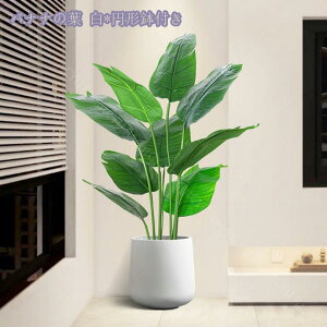 1000~OFFN[| lHϗtA 傫 tFCNO[ CeA  ͂Ȃ lH tFCNA  lHϗtA tFCNc[   O z[ ItBX r