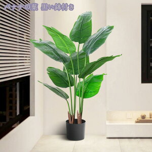 2000~OFFN[| lHϗtA 傫 tFCNO[ CeA  ͂Ȃ lH tFCNA  lHϗtA tFCNc[   O z[ ItBX r