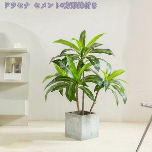 1000~OFFN[| lHϗtA 傫 tFCNO[ ^ CeA rO ItBX  Vbv  lHϗtA /Ogp rO  JXj Vzj z