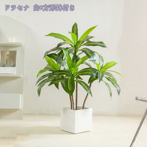 tFCNO[ ^ 傫 ϗtA A lHϗtA tFCNO[ CeA ȒPb炸 sv ItBX z[ fR[V CeA sv b